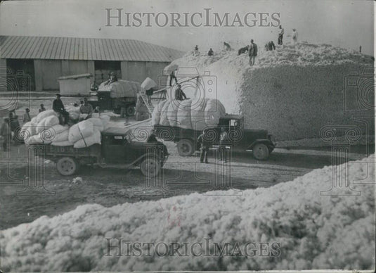 1956 Press Photo Cotton Storing at the Kurgan-Tyube in Tadjidistan - USSR - Historic Images