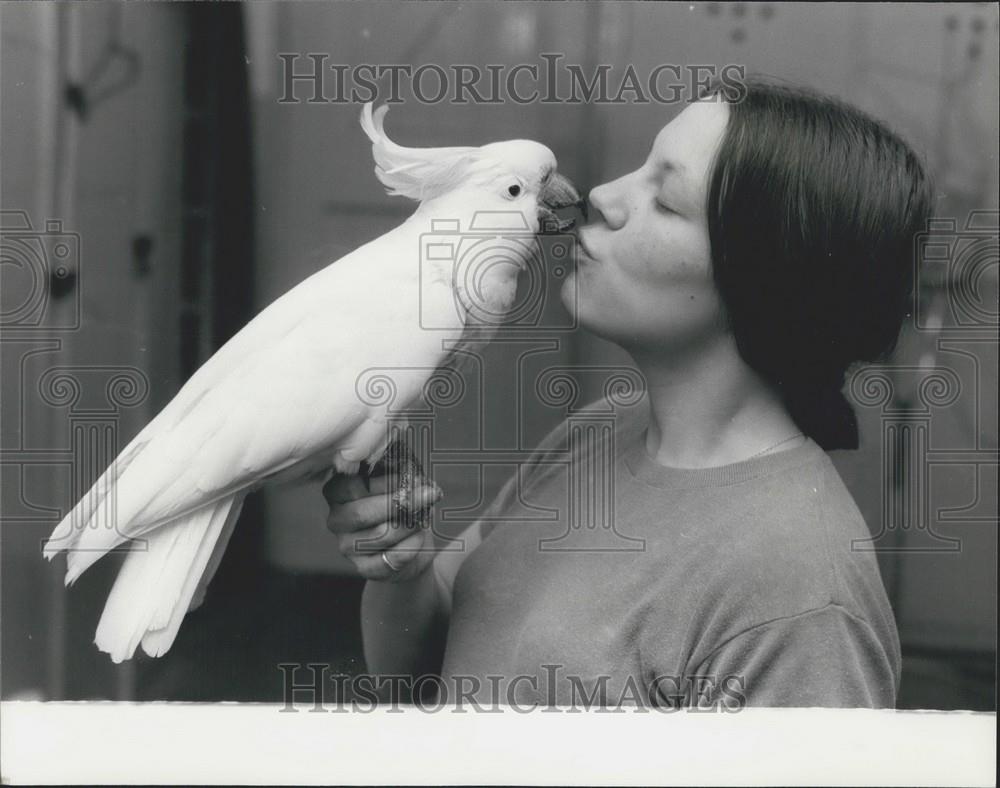 1977 Press Photo Cooky Cockatoo Regent&#39;s Park Zoo Handler Pauline - Historic Images