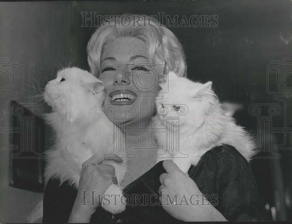 1958 Press Photo French Cat Society Show - Historic Images