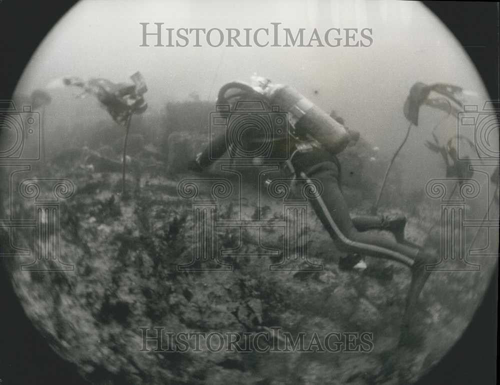 1971 Press Photo LT-CDR Jack Gayton as he searches the seabed as For Dutch ship - Historic Images