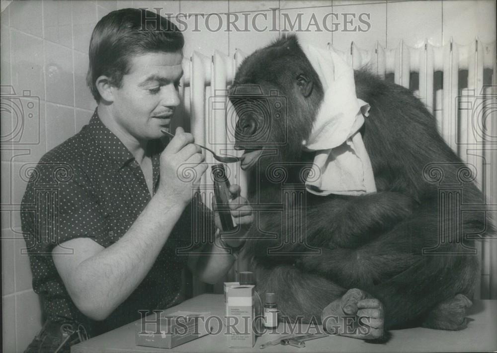 1966 Press Photo Betsy The Monkey Under The Weather - Historic Images