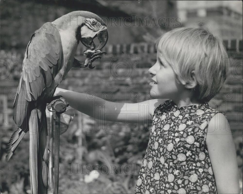 1968 Press Photo , AbigailStandring and a swearing parrot - Historic Images