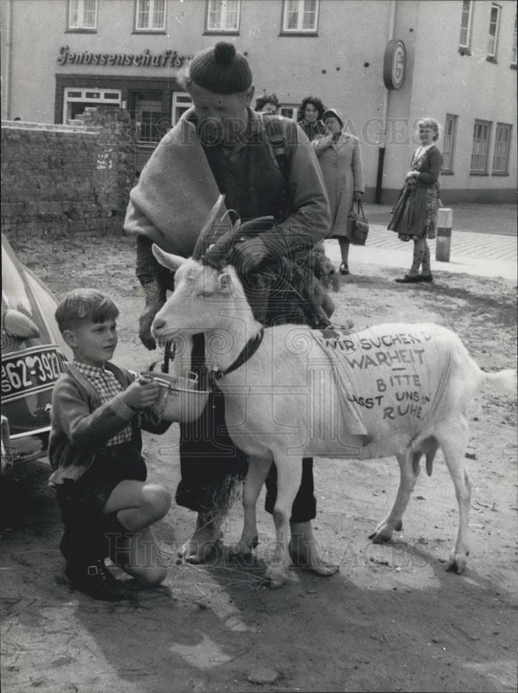 1956 Press Photo Tage Lillienstrand Taking Sheep as Gift to Ingrid Bergman - Historic Images