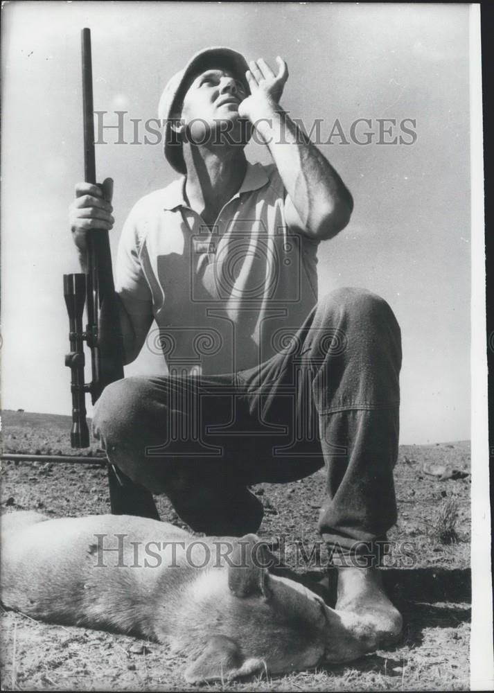 1978 Press Photo Farmer Gus Polden Kills Dingo Killed Sheep Adelaide Australia - Historic Images