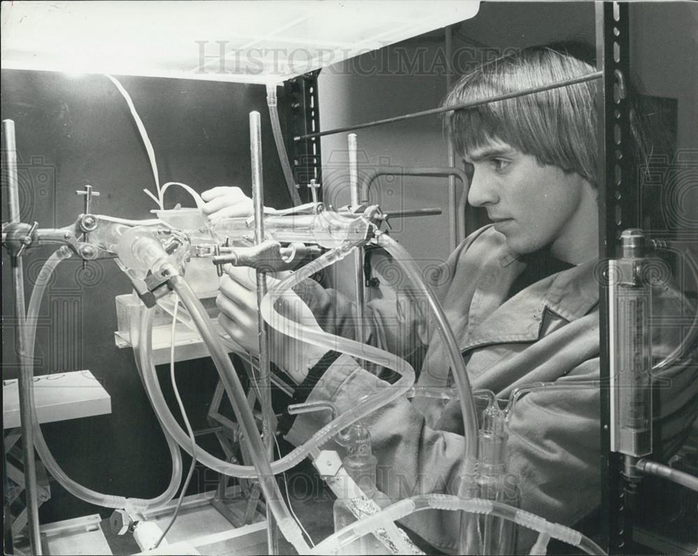 Press Photo Essex Scientists study maize-growing - Historic Images