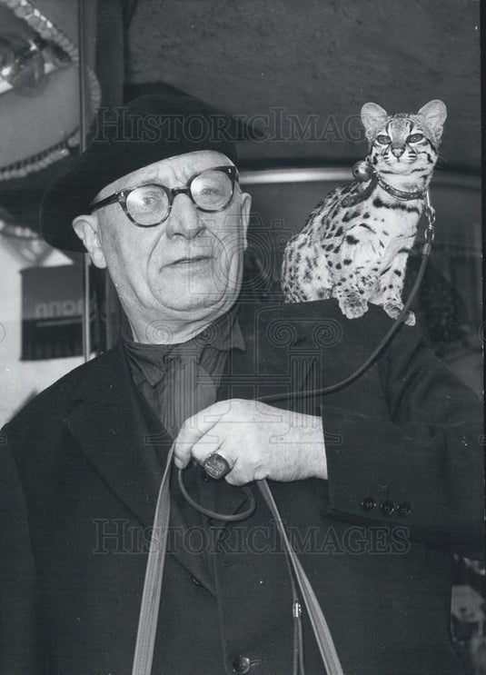 1962 Press Photo Midget Tiger IN Hamburg On Walk With Master - Historic Images