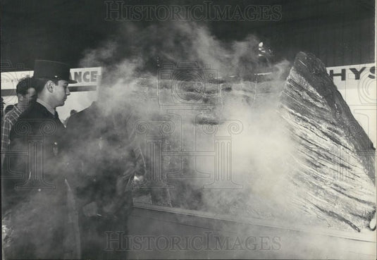 1958 Press Photo exhibition "Earth and Cosonos" A mini volcano - Historic Images