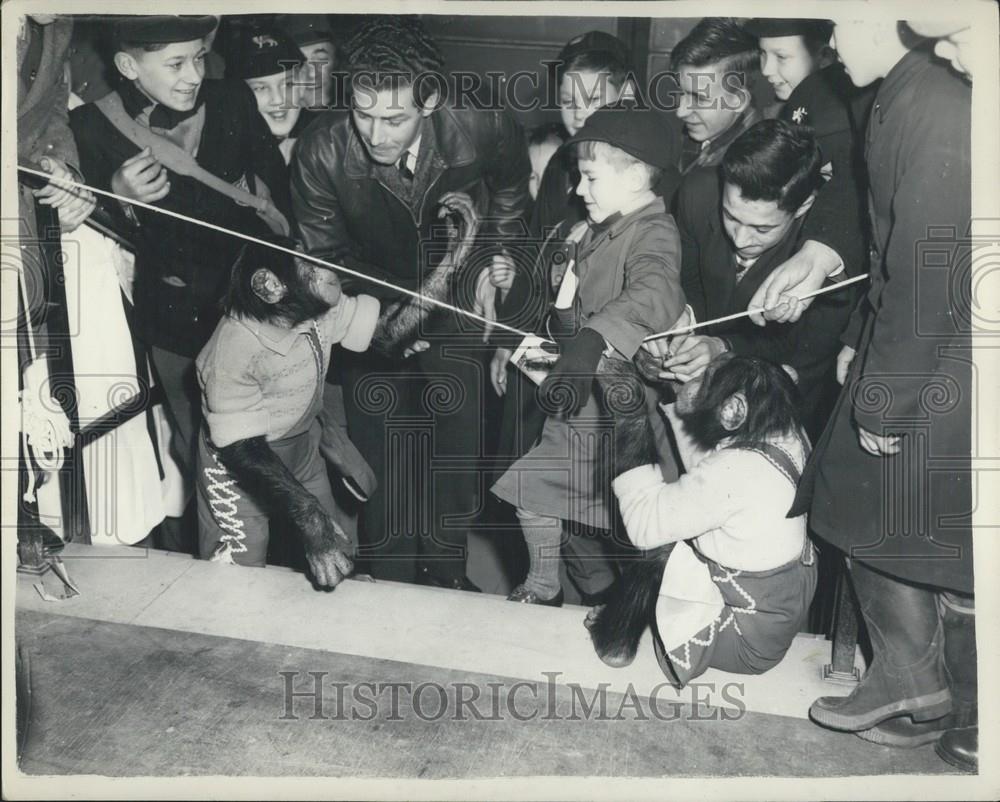 1955 Press Photo Schoolboys Own Exhibition, Horticultural Hall, Westminster - Historic Images