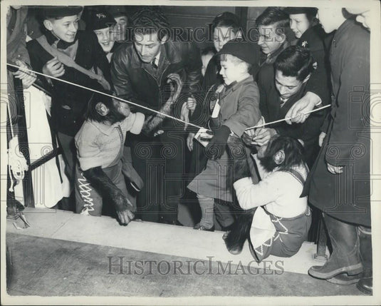 1955 Press Photo Schoolboys Own Exhibition, Horticultural Hall, Westminster - Historic Images
