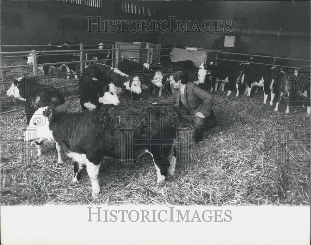 1980 Press Photo Revolutionary Welfare Veal System - Historic Images