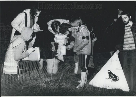 Press Photo Volunteers Karlsruhe West Germany Toad Crossing Streets Relocating - Historic Images