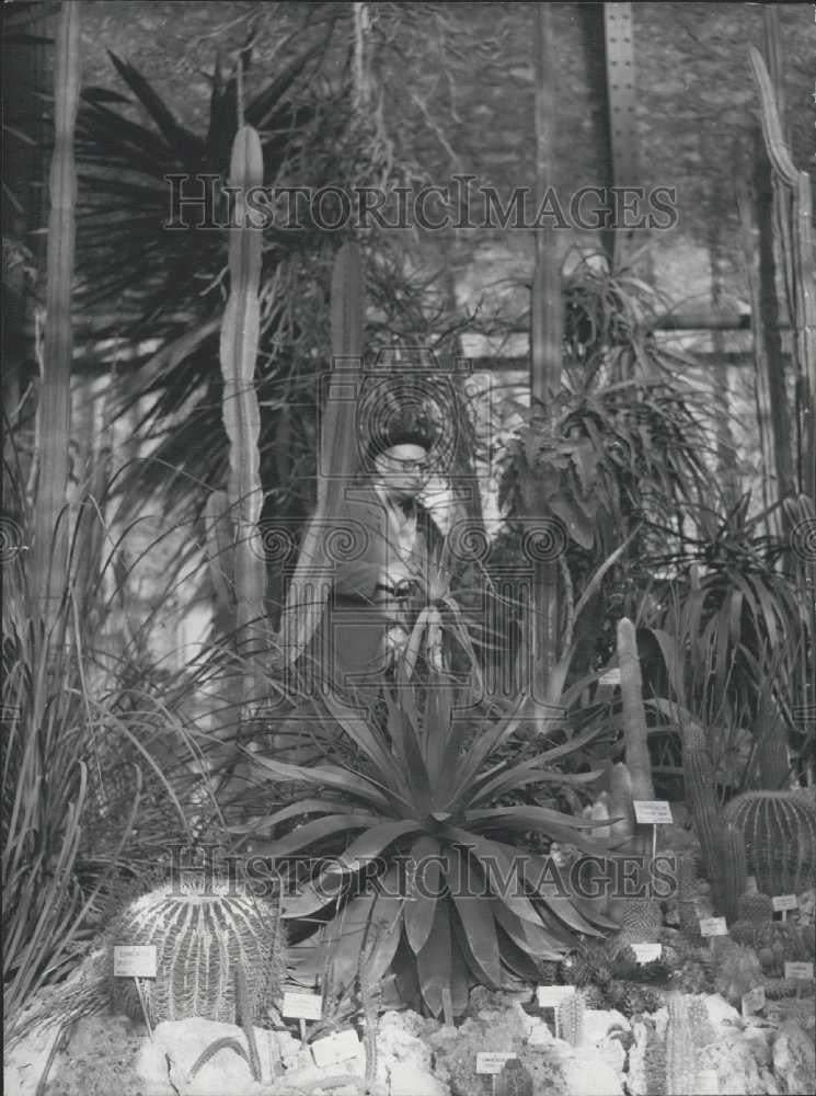 Press Photo Museum D'Historie Naturelle - Historic Images