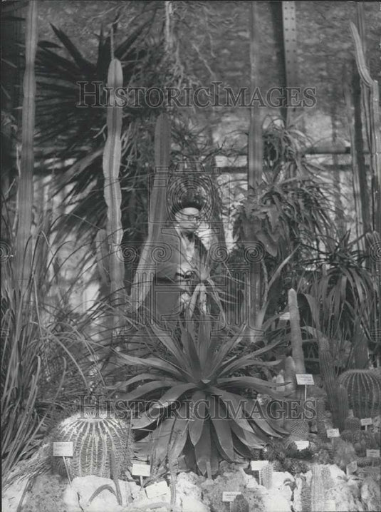 Press Photo Museum D'Historie Naturelle - Historic Images