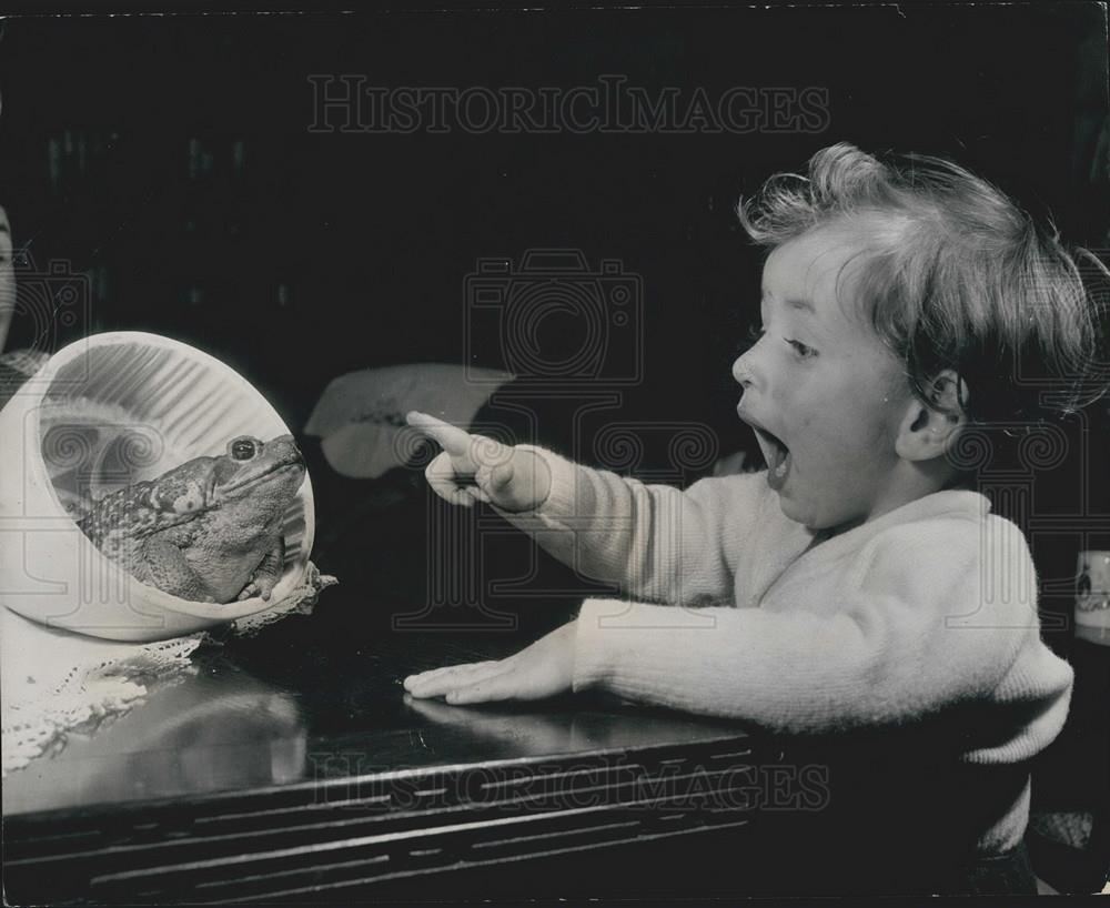 Press Photo Ronnie White Son Leonard Secretary National Aquarists Society Toad - Historic Images