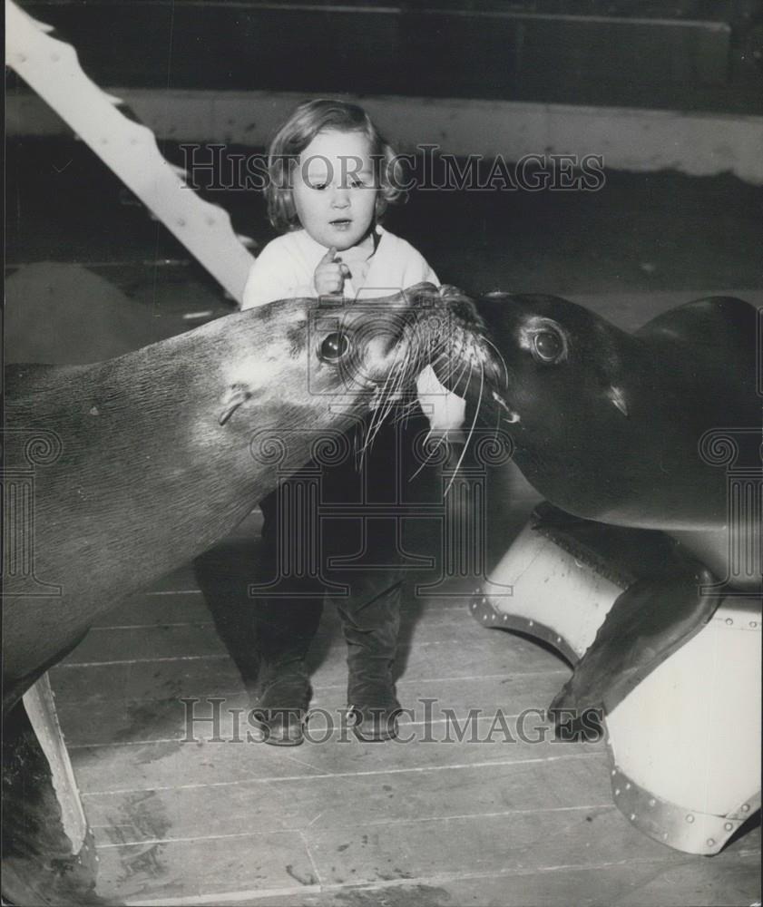 Press Photo Bertha and sealionsBertha - Historic Images