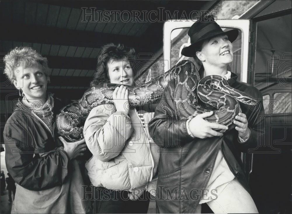 1990 Press Photo Australian Tiger Python Pilatus Railway - Historic Images