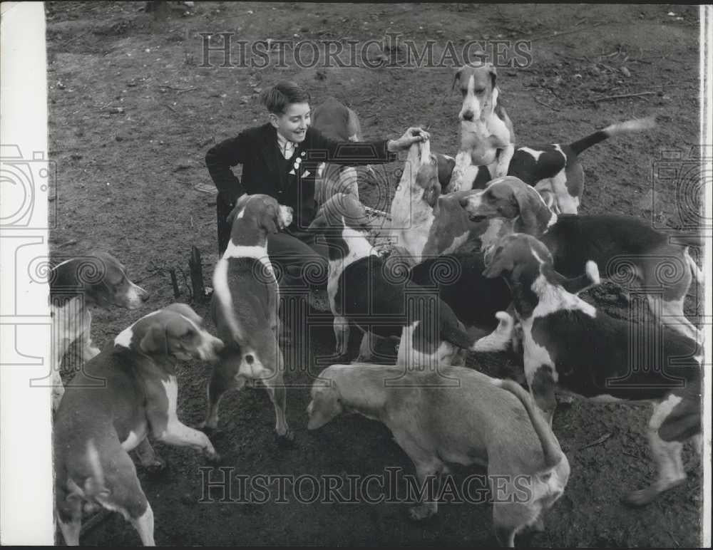 Press Photo Michael Pettet Son of One of the Staff With The Hounds - Historic Images