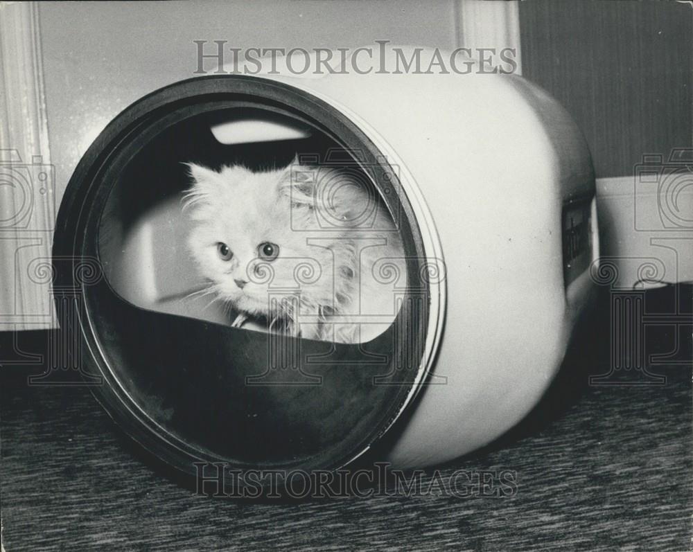 1970 Press Photo Cat Tests Out The Catcabin At British Pet Trade Show - Historic Images