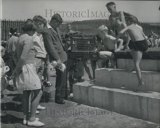 Press Photo Personal Pigeon Post, John Swindlls, Portsmouth - Historic Images