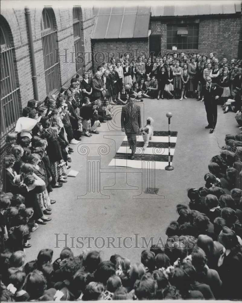 Press Photo Schoolgirls learn road Safety for Dogs - Historic Images