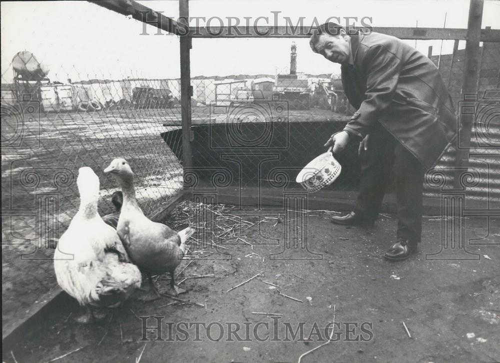 Press Photo Mr. Collet Feeds Members Operation Goose Patrol - Historic Images