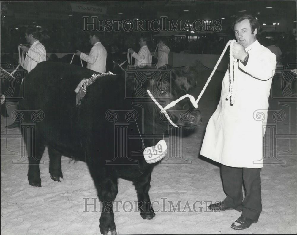 1980 Press Photo SUpreme CHampion, Smithfield, Earls Court, Aberdeen Angus Steer - Historic Images