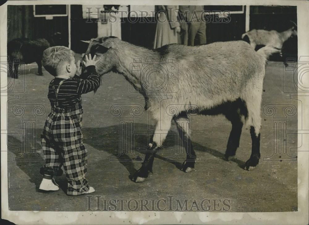 Press Photo Children's Corner - of the London Zoo - Historic Images