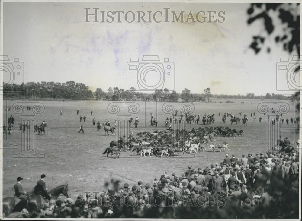 Press Photo Meersfelder Bruch Horse Show - Historic Images