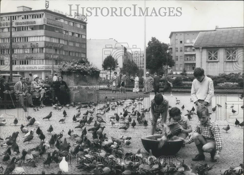 Press Photo Pigeon annihilation in Berlin - Historic Images