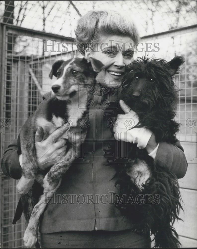 1968 Press Photo Actress Hy Hazell Visits Animals Help Branch At Southall - Historic Images