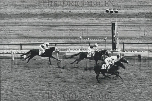 Press Photo 41st Japanese Derby won by Cornel Lancer - Historic Images