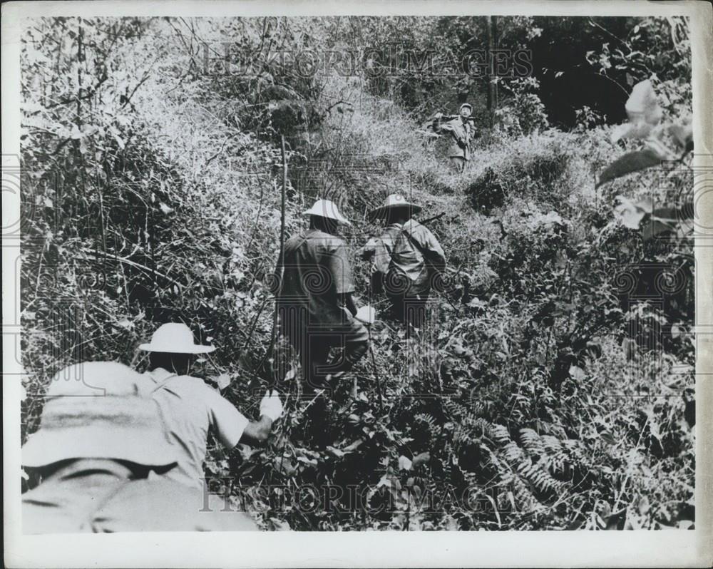1968 Press Photo Chinese Laborers Survey Railroad Between Tanzania Zambia - Historic Images