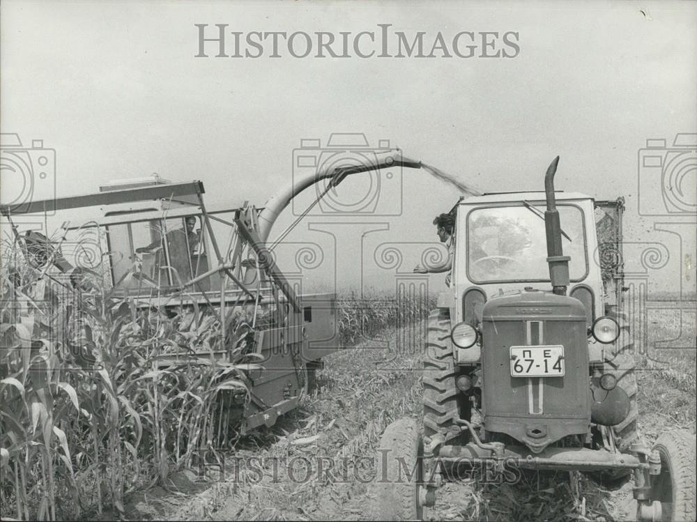 1978 Press Photo Fodder Maize harvest in Plovdiv district - Historic Images