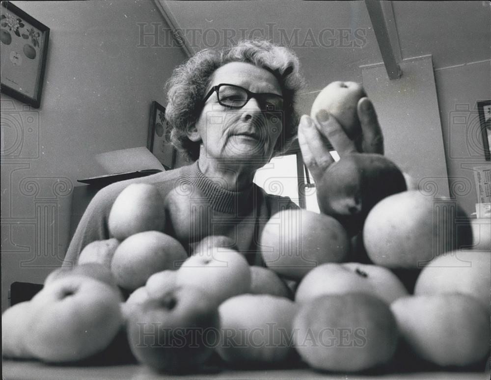 Press Photo Muriel Smith, Psychologist, at Work with Her Apples - Historic Images
