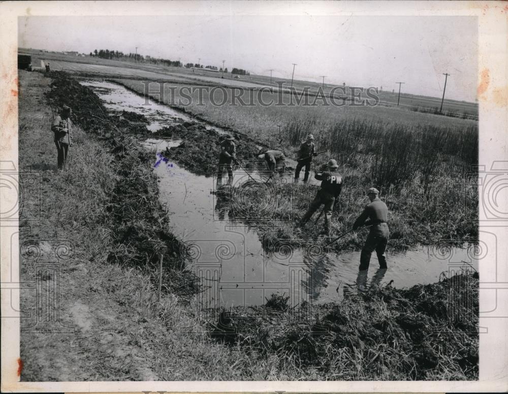 1945 Press Photo 150 German Prisoners of War confined at Ft. Sheridan, Ill., - Historic Images