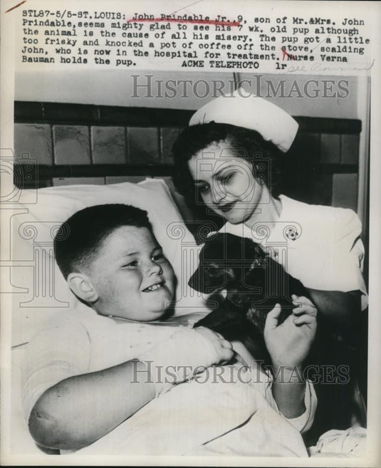 1949 Press Photo of John Prindable Jr. and his puppy after the puppy knocked - Historic Images