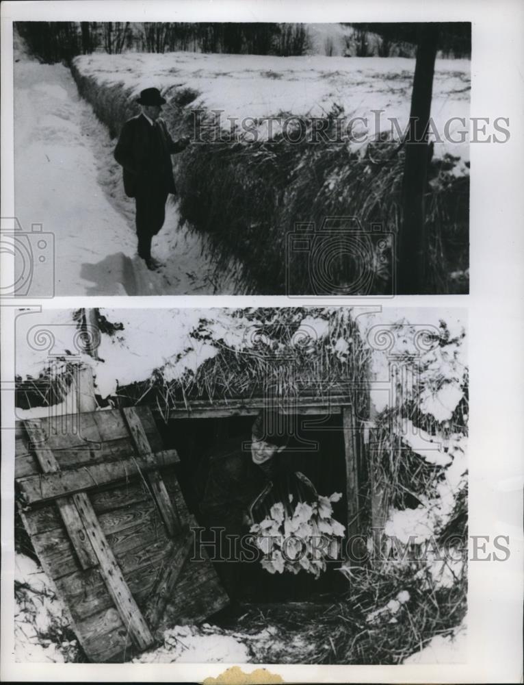 1957 Press Photo Farmers in Nyokping growing Rhubarb under snow - Historic Images