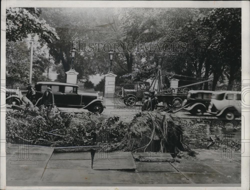 1933 Press Photo Front of White House had Oak Tree Uprooted due to Wind - Historic Images