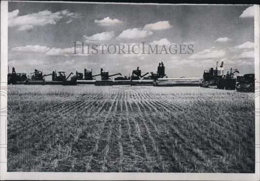 1950 Press Photo of combines and tractors harvesting wheat. - Historic Images