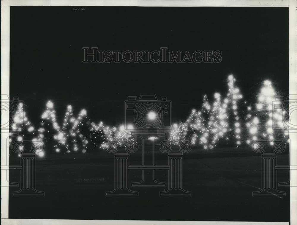 1934 Press Photo of thirty four Christmas tress all lit up at Memorial Coliseum - Historic Images
