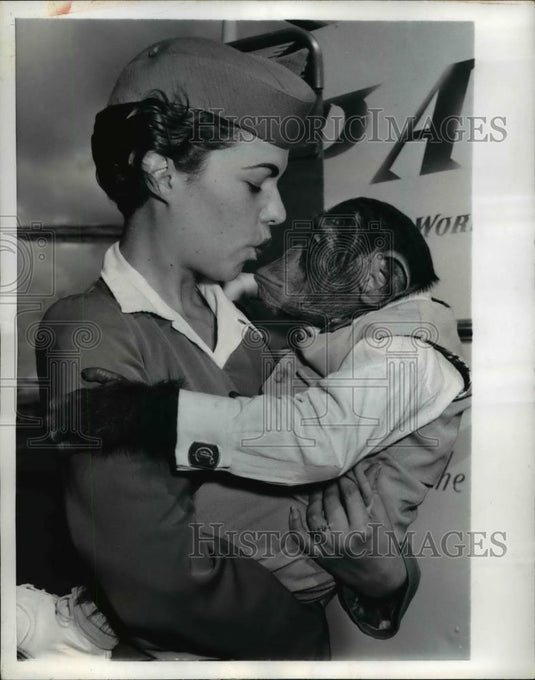 1956 Press Photo Miami Florida, Sally Taroncher holds Mr Cocomo for flight to - Historic Images