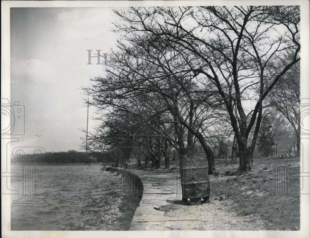 1937 Press Photo Smdge potsand flares to protect Japanese cheery trees - Historic Images