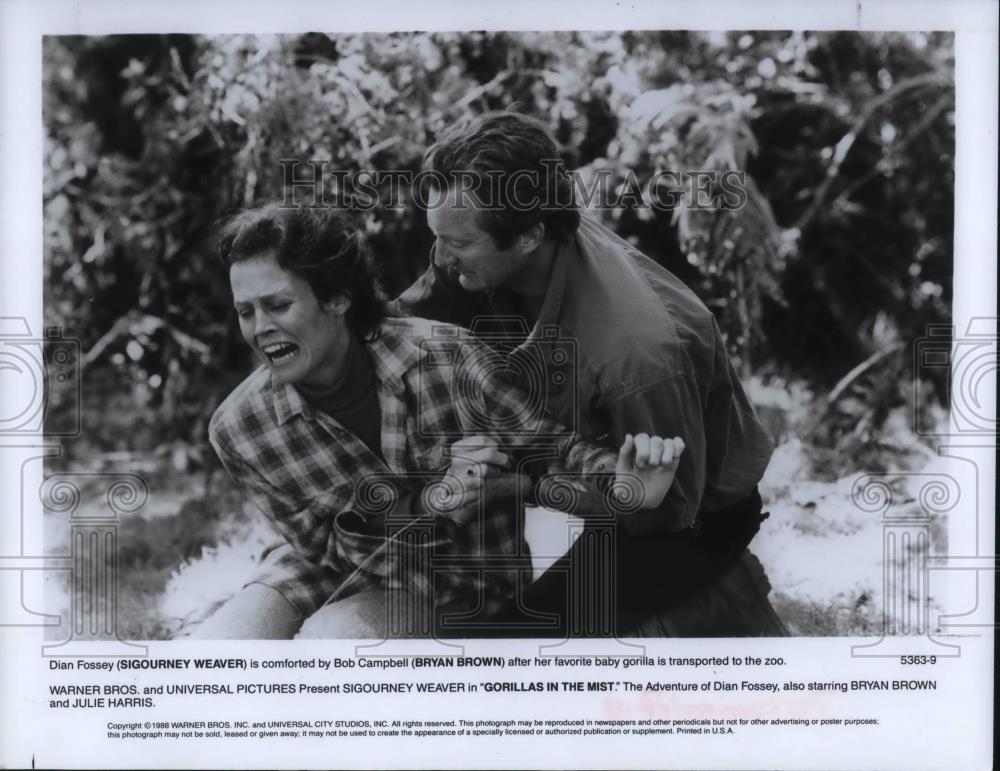 1988 Press Photo Sigourney Weaver & Bryan Brown in Gorillas in the Mist - Historic Images