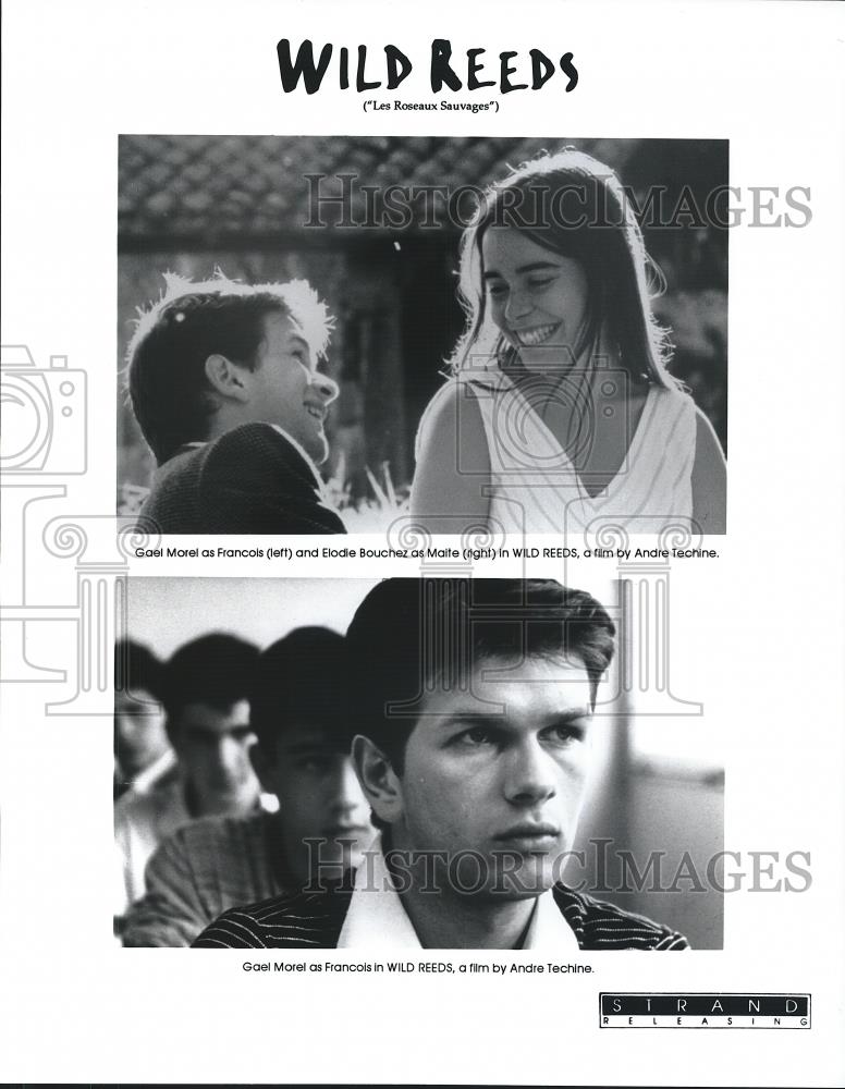 1994 Press Photo Gael Morel & Elodie Bouchez in Wild Reeds - cvp26226 - Historic Images