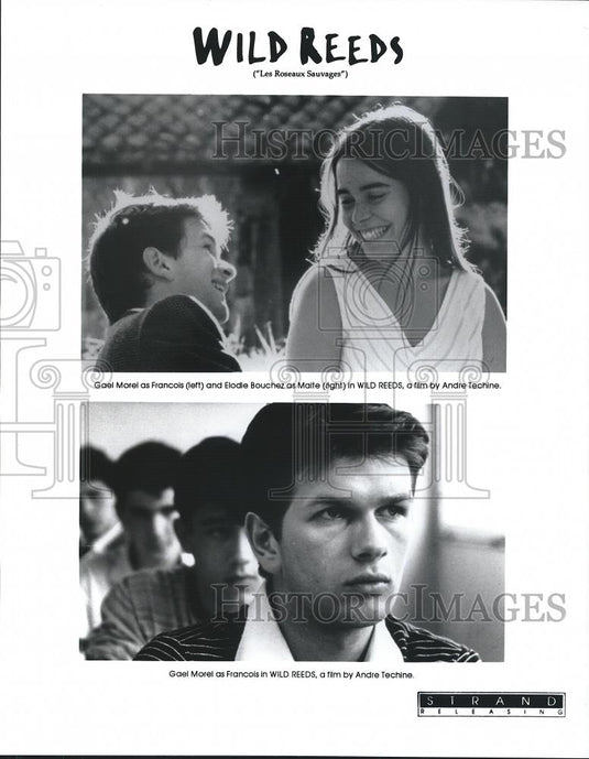 1994 Press Photo Gael Morel & Elodie Bouchez in Wild Reeds - cvp26226 - Historic Images