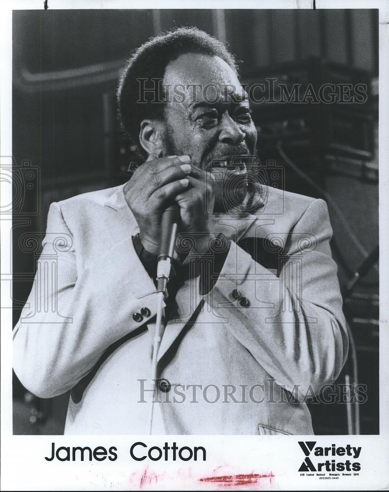 1990 Press Photo James Cotton in the picture - cvp26217 - Historic Images