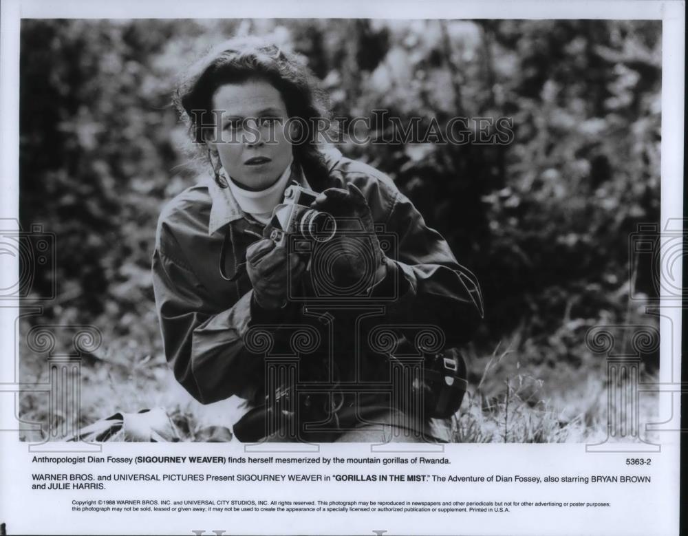 1988 Press Photo Sigourney Weaver in Gorillas in the Mist - cvp20006 - Historic Images