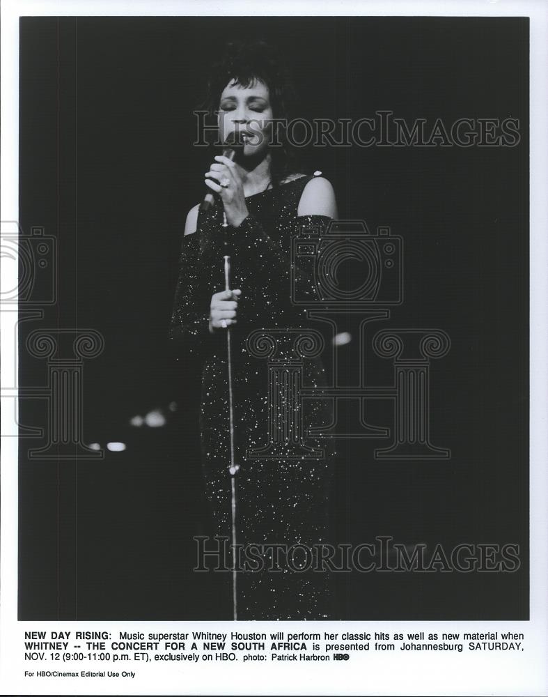 1994 Press Photo Whitney Houston - cvp26342 - Historic Images