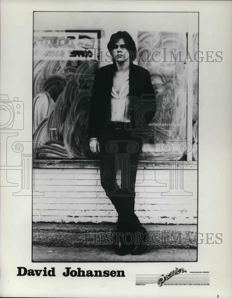 1979 Press Photo Songwriter David Johansen - cvp25746 - Historic Images