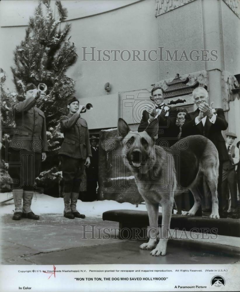 1976 Press Photo Movies Won ton ton, the Dog Who Saved Hollywood - 205 - Historic Images
